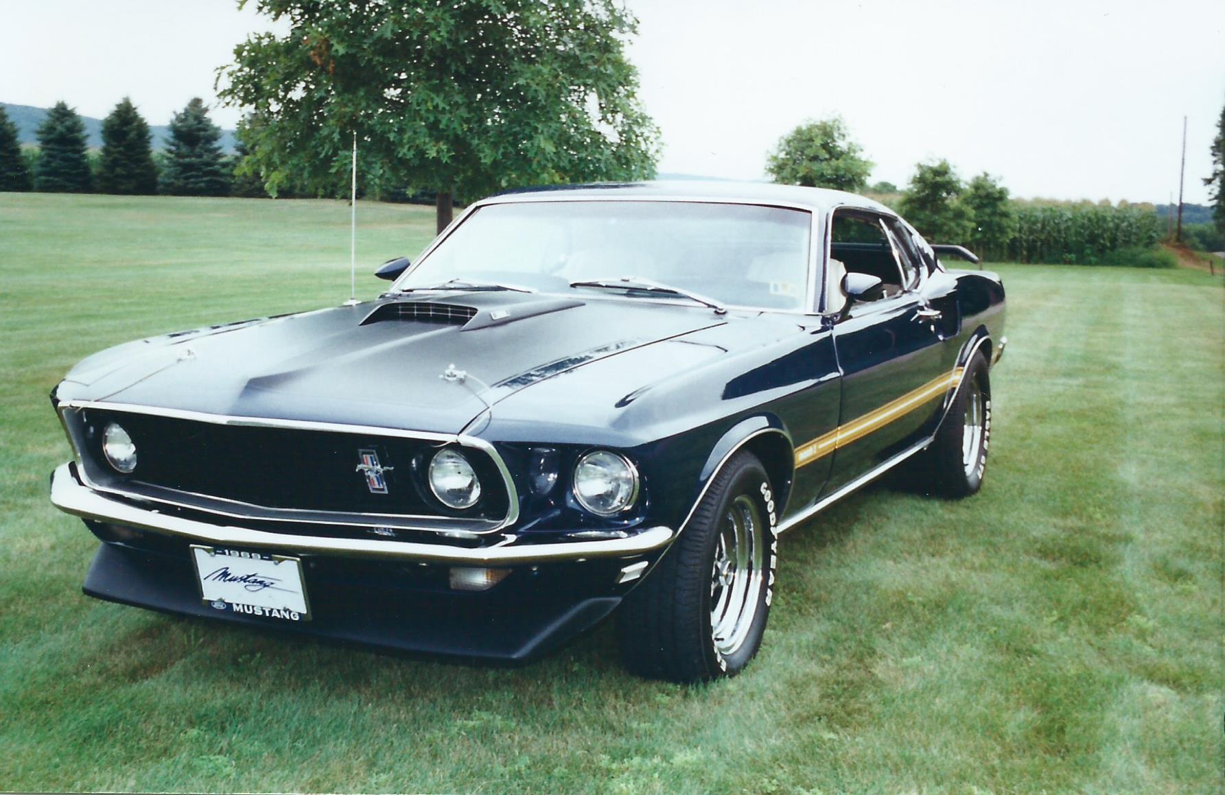 Todd S 69 Mustang